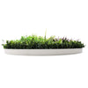 Slimline Artificial Green Wall Disc Art 100cm Grassy Fern UV Resistant (White) - Designer Vertical Gardens Artificial vertical garden wall disc