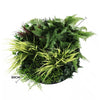 Slimline Artificial Green Wall Disc Art 50cm Grassy Fern Fields UV Resistant (Black) - Designer Vertical Gardens Artificial vertical garden wall disc