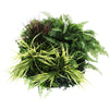 Slimline Artificial Green Wall Disc Art 50cm White Grassy UV Resistant (White) - Designer Vertical Gardens Artificial vertical garden wall disc