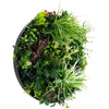 Slimline Artificial Green Wall Disc Art 60cm Colour Fresh UV Resistant (Black) - Designer Vertical Gardens Artificial vertical garden wall disc