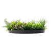 Slimline Artificial Green Wall Disc Art 60cm Country Fern UV Resistant (Black) - Designer Vertical Gardens Artificial vertical garden wall disc