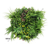 Slimline Artificial Green Wall Disc Art 60cm Country Fern UV Resistant (White) - Designer Vertical Gardens Artificial vertical garden wall disc