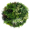 Slimline Artificial Green Wall Disc Art 80cm Colour Fresh UV Resistant (White) - Designer Vertical Gardens Artificial vertical garden wall disc