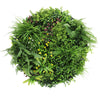Slimline Artificial Green Wall Disc Art 80cm Country Fern UV Resistant (Black) - Designer Vertical Gardens Artificial vertical garden wall disc