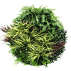 Slimline Artificial Green Wall Disc Art 80cm Grassy Fern UV Resistant (Black) - Designer Vertical Gardens Artificial vertical garden wall disc