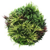 Slimline Artificial Green Wall Disc Art 80cm Grassy Fern UV Resistant (White) - Designer Vertical Gardens Artificial vertical garden wall disc