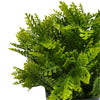 Small Potted Artificial Mimosa Fern UV Resistant 20cm - Designer Vertical Gardens artificial garden wall plants Artificial Trees
