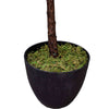 Tall Artificial Fiddle Leaf Fig 170cm - Designer Vertical Gardens artificial fiddle leaf fig tree artificial fig leaf plant