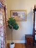 Tall Artificial Fiddle Leaf Fig 170cm - Designer Vertical Gardens artificial fiddle leaf fig tree artificial fig leaf plant