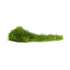 Very Dense Artificial Hanging Myrtle Vine 75cm Long UV Resistant - Designer Vertical Gardens hanging fern hanging garland