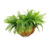 Wall - Mounted Hanging Fern Basket – UV Resistant (30cm x 40cm) - Designer Vertical Gardens Artificial Plants