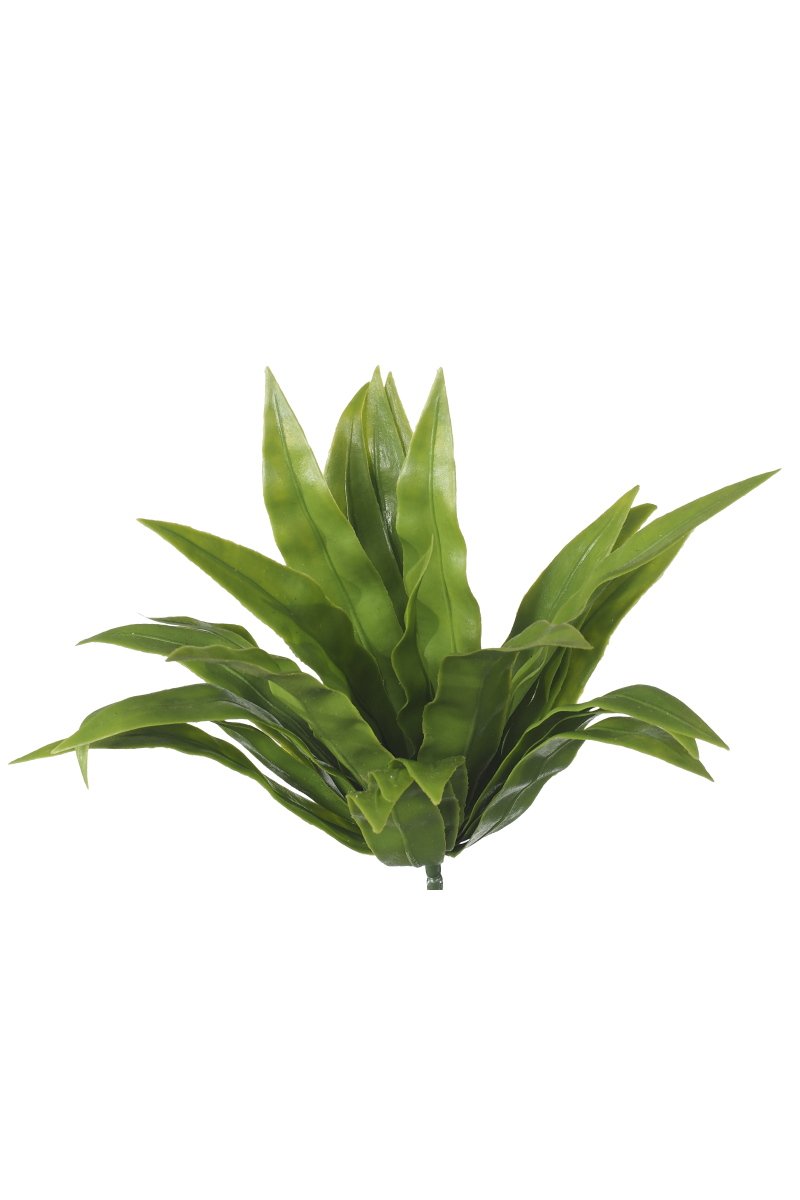 UV Aloe Vera Stem - 20cm