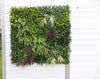 Premium Urban Greenery Artificial Vertical Garden / Fake Green Wall UV Resistant 1m x 1m