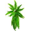 Hanging Boston Fern - 100cm