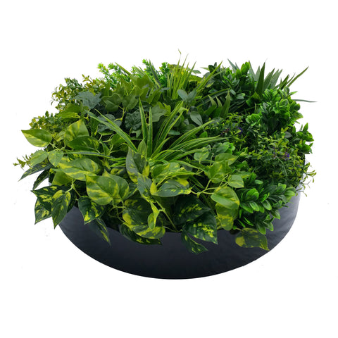 60cm 'Tropical Green' Vertical Garden Disc