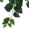 Hanging Artificial Philodendron Bush - 100cm