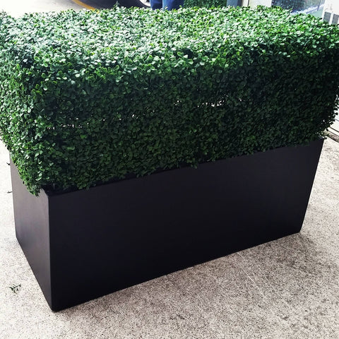 Portable Boxwood Hedge - UV Stabilised (75cm x 75cm)