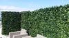 Artificial Laurel Leaf Screen Panels 1m x 1m