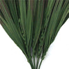 (5 Pack) Artificial Stem Brown Tipped Fake Grass Plant 35cm - Designer Vertical Gardens artificial green wall sydney artificial vertical garden melbourne