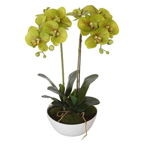 50cm Flowering Artificial Potted Orchid - Multi Stem - Designer Vertical Gardens artificial garden wall plants artificial green wall australia