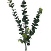 5packs Long Eucalyptus Stem 77 cm - Designer Vertical Gardens artificial garden wall plants artificial green wall australia