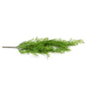 80cm Hanging Fresh Green Dense Maiden Hair Fern Bush UV Resistant - Designer Vertical Gardens artificial vertical garden melbourne artificial vertical green wall