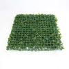 Sample - Dense Buxus Hedge Panel (25cm x 25cm)