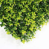 Sample - Dense Buxus Hedge Panel (25cm x 25cm)