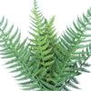 5 Pack - UV Dark Fern Stem 38cm