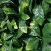 artificial-wall-garden-panel