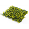 Sample - Dense Buxus Hedge Panel (25cm x 25cm)