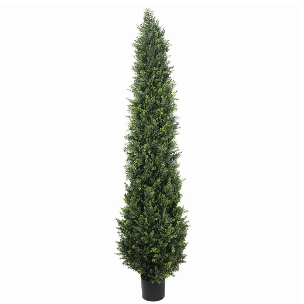 UV Cypress Pine Tree 1.8M