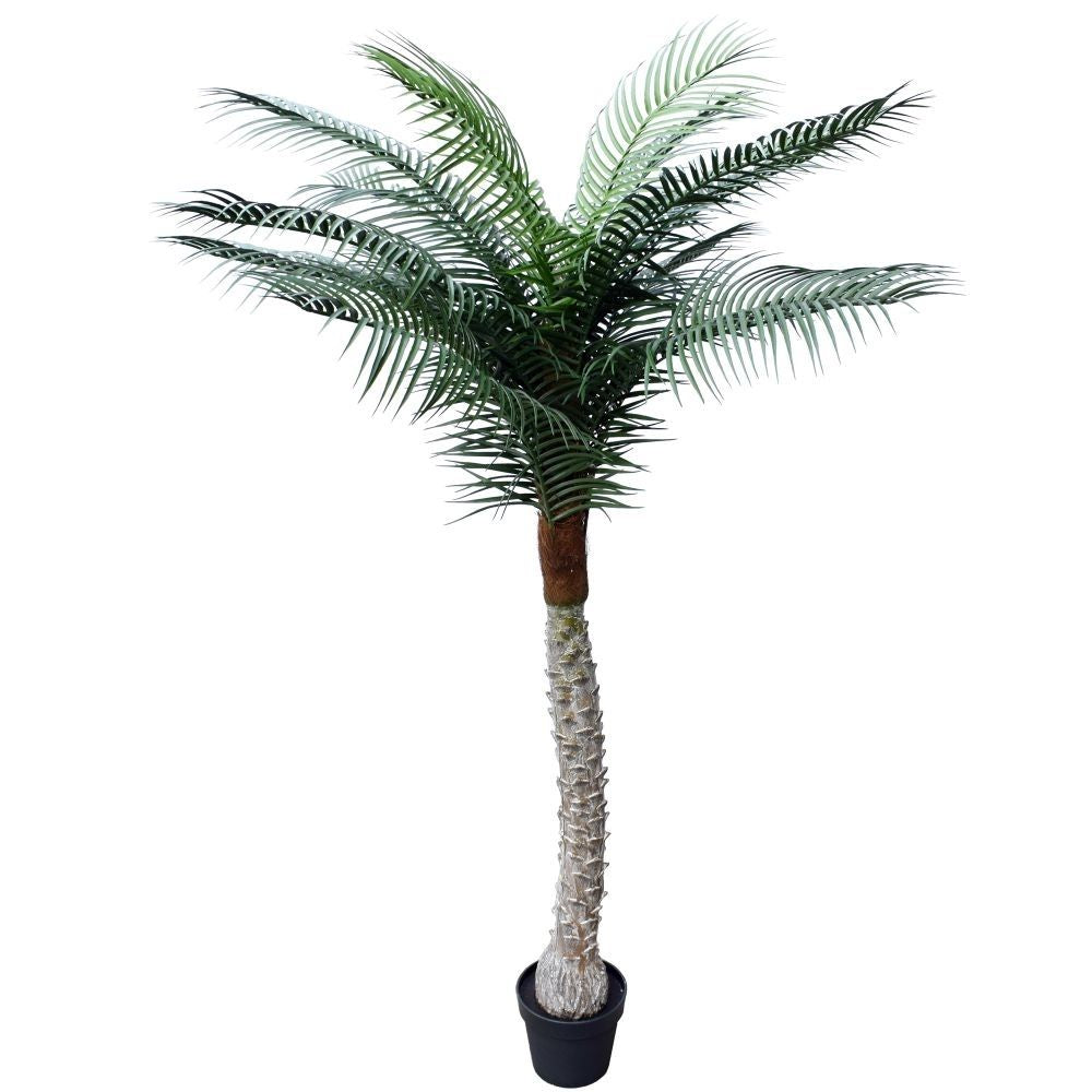 Tropical Phoenix Artificial Potted Palm Tree 170cm UV Resistant