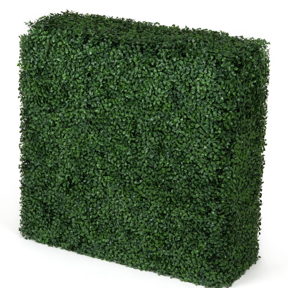 Portable Boxwood Hedge - UV Stabilised (75cm x 75cm)