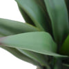Artificial Agave 50cm No Pot UV Resistant - Designer Vertical Gardens artificial garden wall plants artificial green wall australia