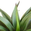 Artificial Agave 50cm No Pot UV Resistant - Designer Vertical Gardens artificial garden wall plants artificial green wall australia