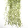Artificial Air Plant / Spanish Moss (Old Man Beard) 60cm - Designer Vertical Gardens artificial green wall australia green wall
