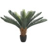 Artificial Cyac (Cycad) Plant 60cm - Designer Vertical Gardens artificial green wall sydney artificial vertical garden melbourne