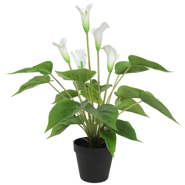 Artificial Flowering White Peace Lily / Calla Lily Plant 50cm - Designer Vertical Gardens artificial vertical garden melbourne flowering