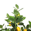 Artificial Lemon Tree (Potted) with Lemons 150cm - Designer Vertical Gardens artificial vertical garden plants vertical garden artificial plants