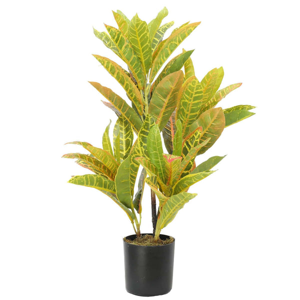 Artificial Potted Flaming Zebra (Codiaeum variegatum / crotons) 55cm - Designer Vertical Gardens Artificial Shrubs and Small plants Dracena & Artificial Yucca