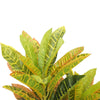 Artificial Potted Flaming Zebra (Codiaeum variegatum / crotons) 55cm - Designer Vertical Gardens Artificial Shrubs and Small plants Dracena & Artificial Yucca