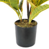 Artificial Potted Flaming Zebra (Codiaeum variegatum / crotons) 55cm - Designer Vertical Gardens Artificial Shrubs and Small plants Dracena & Artificial Yucca