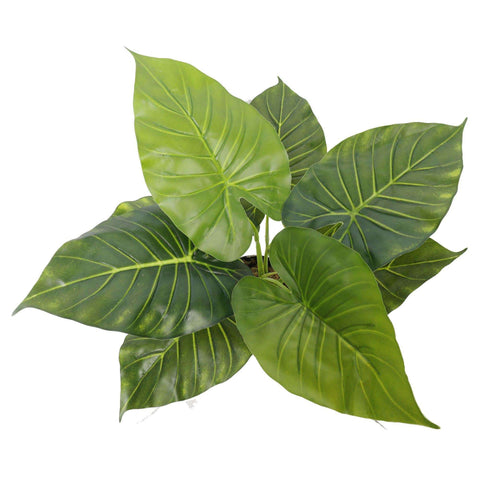 Artificial Potted Taro Plant / Elephant Ear 55cm - Designer Vertical Gardens Artificial Shrubs and Small plants Office and House plants