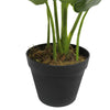 Artificial Potted Taro Plant / Elephant Ear 55cm - Designer Vertical Gardens Artificial Shrubs and Small plants Office and House plants