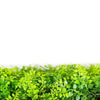 Dense Fern Artificial Hedge / Fake Green Wall DIY Vertical Garden 1m x 1m UV Resistant - Designer Vertical Gardens artificial garden wall plants artificial green wall australia