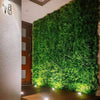 Dense Fern Artificial Hedge / Fake Green Wall DIY Vertical Garden 1m x 1m UV Resistant - Designer Vertical Gardens artificial garden wall plants artificial green wall australia