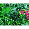 Elegant Red Rose Artificial Vertical Garden / Fake Green Wall 100cm x 100cm UV Resistant - Designer Vertical Gardens artificial green wall sydney artificial hedge fence panels