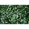 English Boxwood Artificial Hedge Panel Green Wall 1m x 1m UV Resistant - Designer Vertical Gardens artificial garden wall plants artificial green wall australia