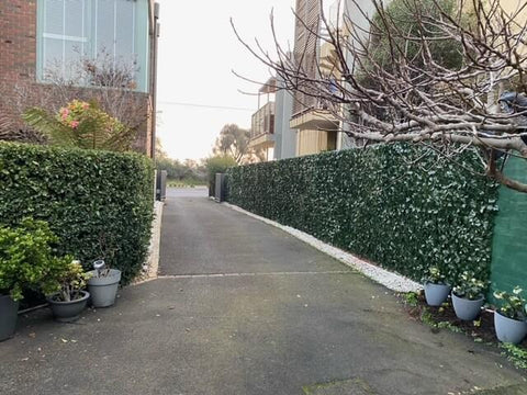 Fake Ivy Roll 3m x 1m – Instant Artificial Hedge Panel Ivy Roll - Designer Vertical Gardens artificial garden wall plants artificial green wall australia